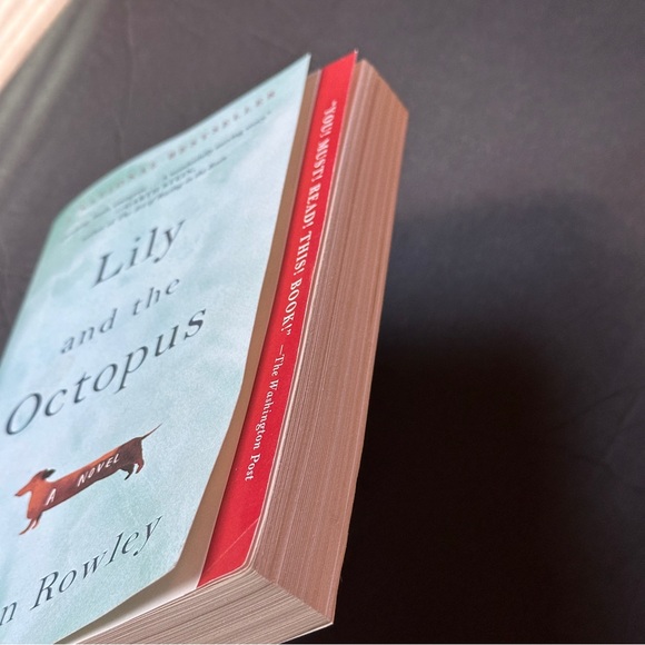 Lily and the Octopus by Steven Rowley | Contemporary Fiction | Paperback Book - Picture 5 of 6